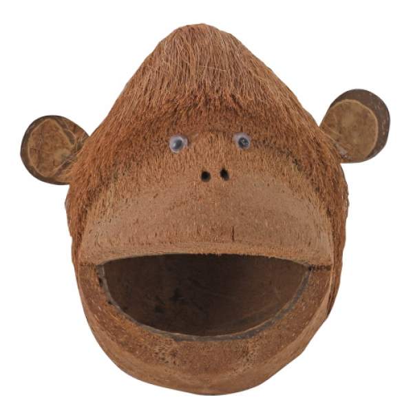 Coco Monkey